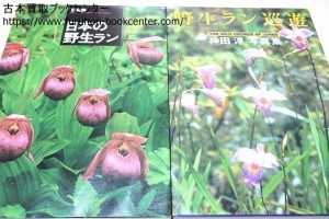 写真集日本の野生ラン・日本のラン巡遊・神田淳