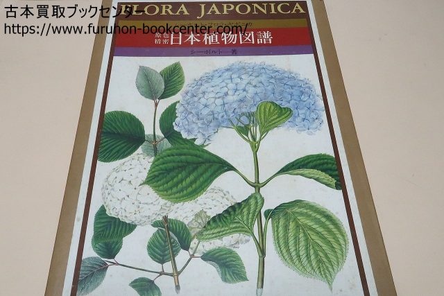 原色精密・日本植物図譜・シーボルト・フロラ・ヤポニカ