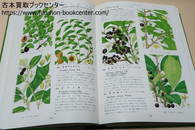 朝霞市より】原色牧野植物大図鑑・牧野富太郎等 植物の本・植物図鑑