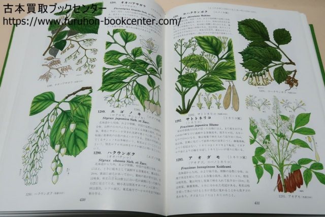 朝霞市より】原色牧野植物大図鑑・牧野富太郎等 植物の本・植物図鑑