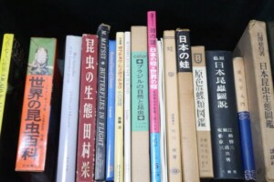 蝶の本・図鑑